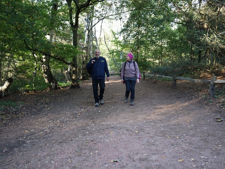 A man and woman walking on a trail in the woods